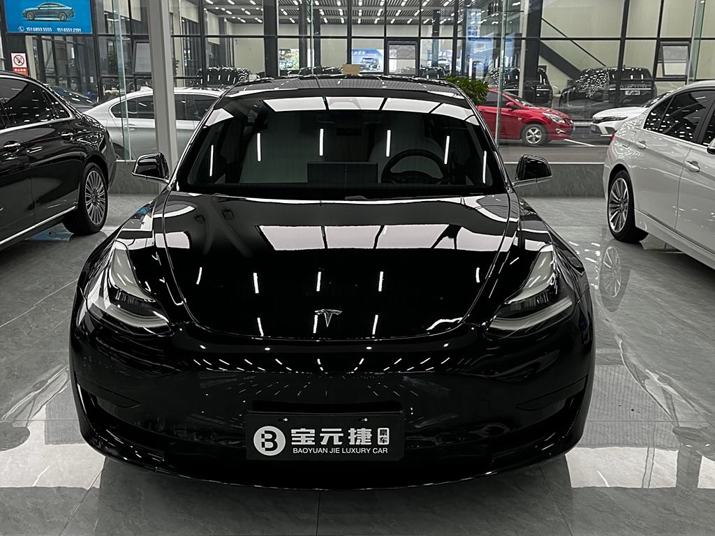 Tesla Model 3 2019