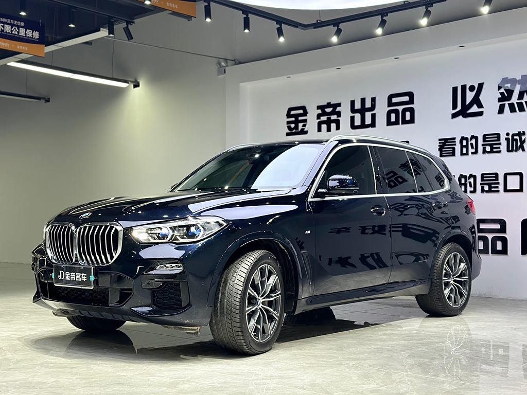 BMW X5 2020 xDrive40i M Sport Package