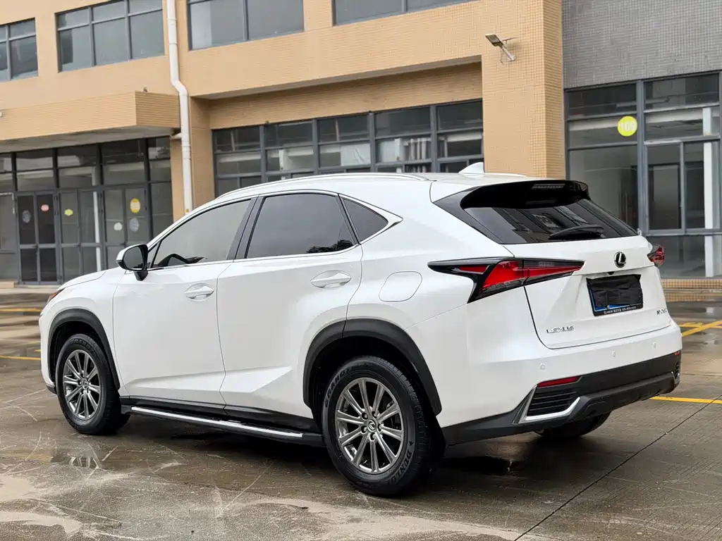 Lexus NX 2020 200 FWD Fengyi Edition China VI