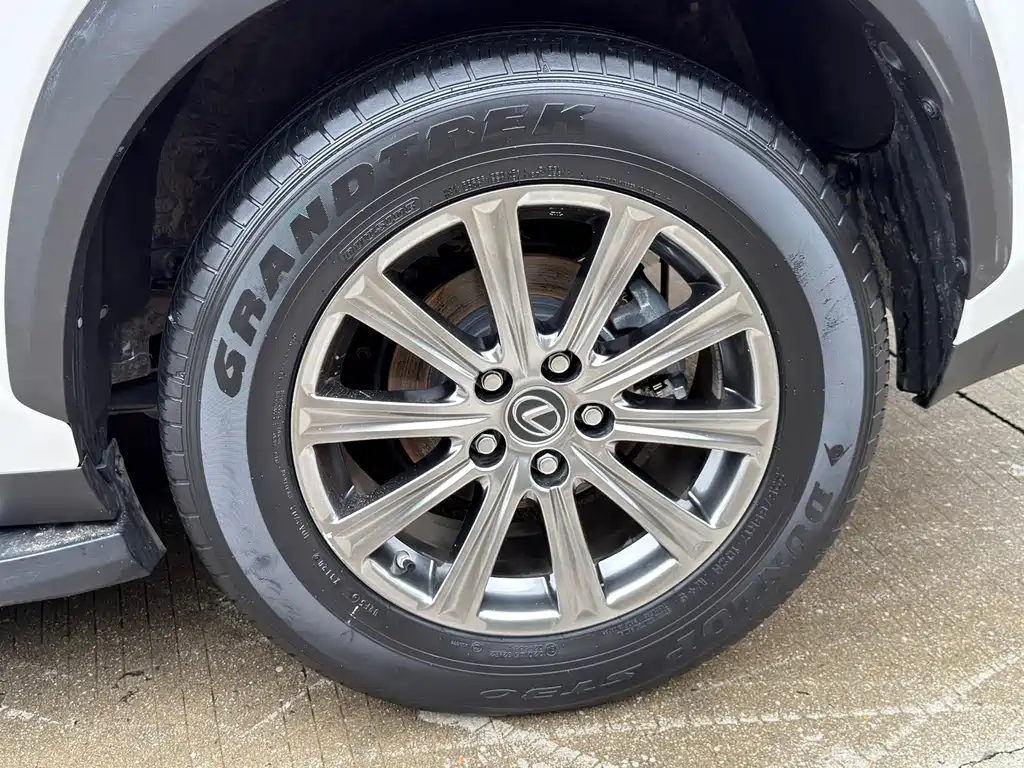 Lexus NX 2020 200 FWD Fengyi Edition China VI