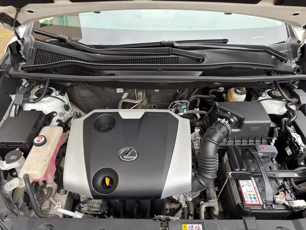 Lexus NX 2020 200 FWD Fengyi Edition China VI