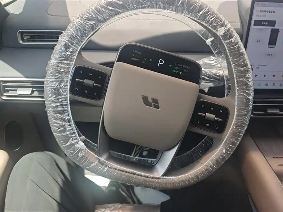 Li Auto MEGA 2025 Home Special Edition