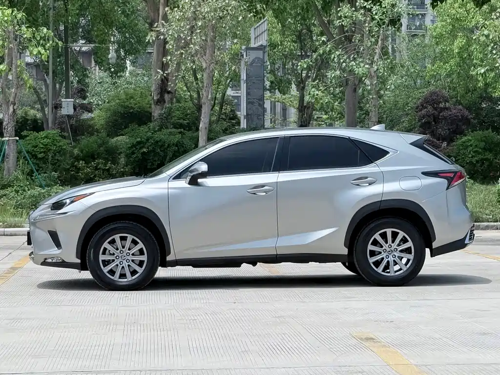 Lexus NX 2018 200 FWD Fengxing Edition China V