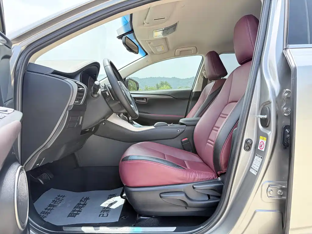 Lexus NX 2018 200 FWD Fengxing Edition China V