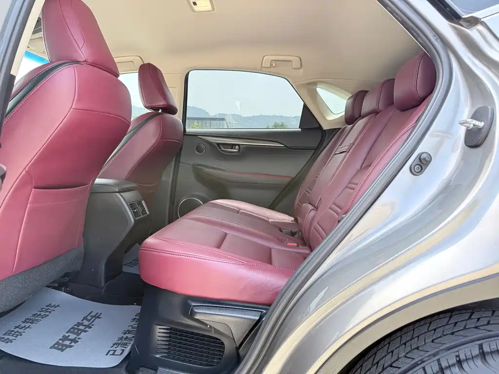 Lexus NX 2018 200 FWD Fengxing Edition China V