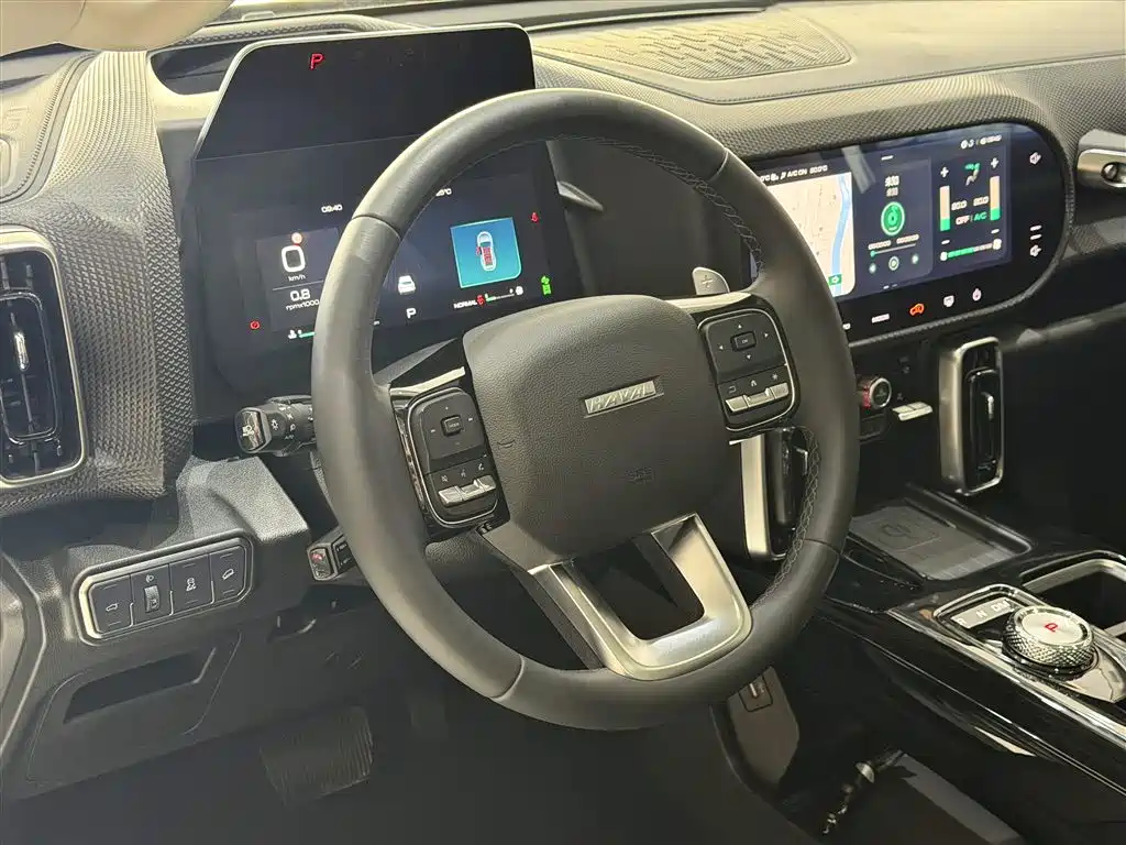 Haval Big Dog 2021 1.5T DCT 2WD Border Collie Edition