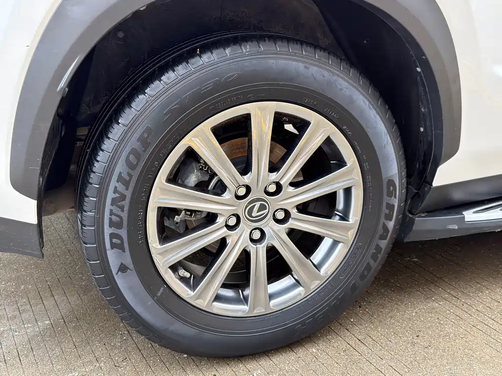 Lexus NX 2020 200 FWD Fengyi Edition China VI