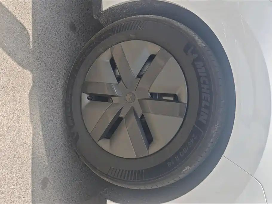 Li Auto MEGA 2025 Home Special Edition