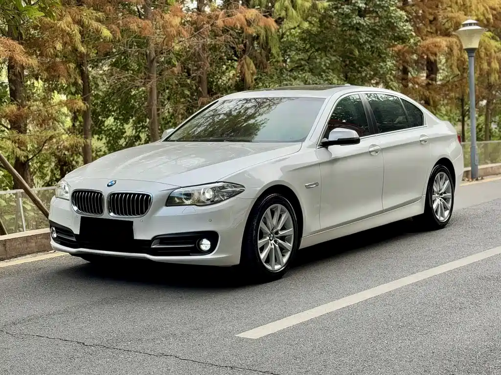 BMW 5 Series 2014 530Li Leading Edition