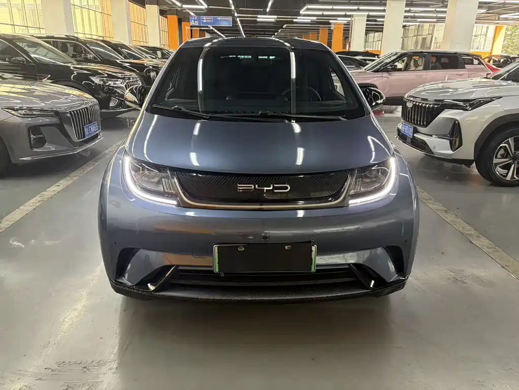 BYD Dolphin 2025 420km Free Edition