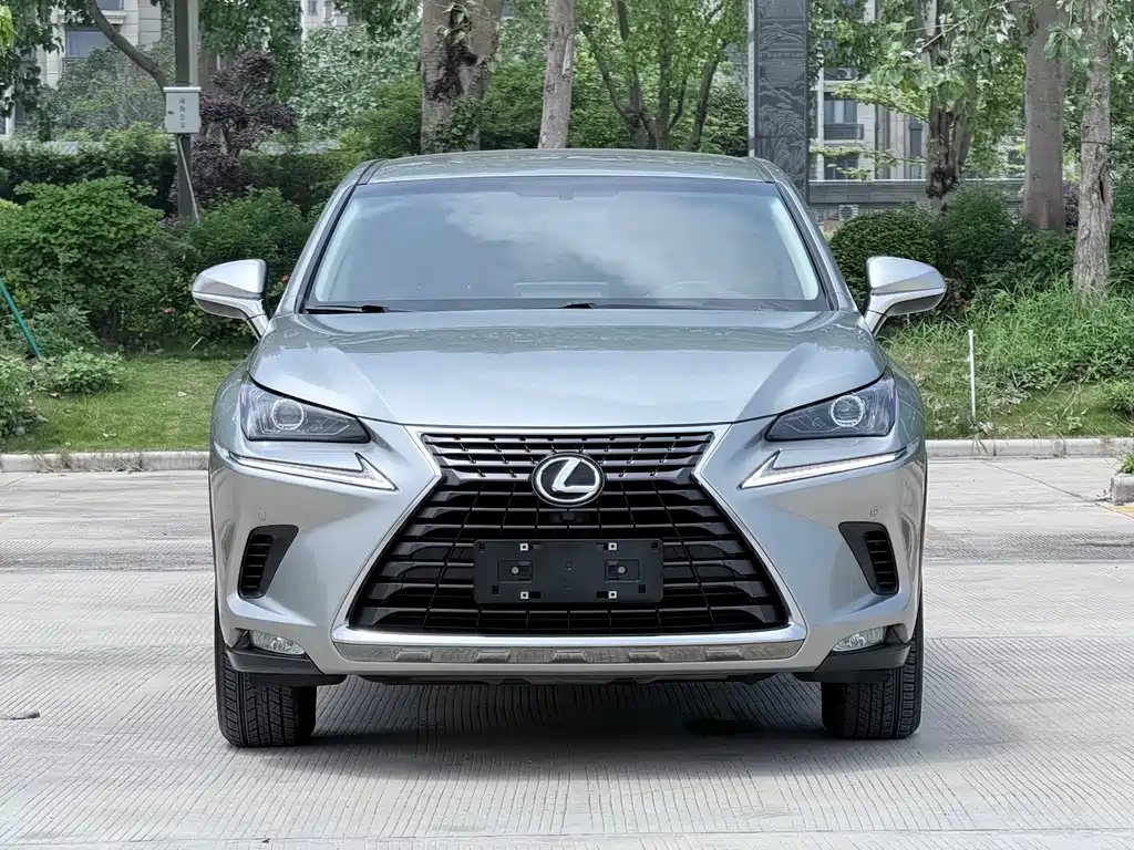 Lexus NX 2018 200 FWD Fengxing Edition China V