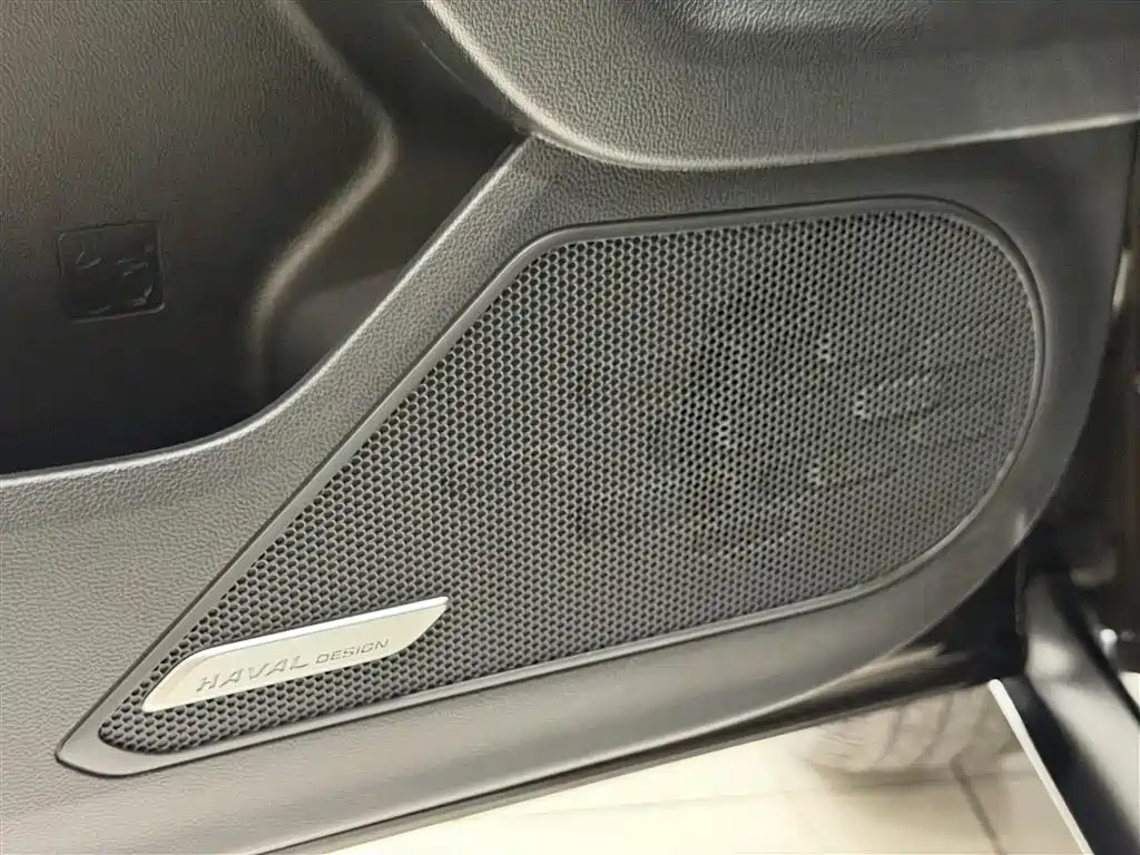 Haval Big Dog 2021 1.5T DCT 2WD Border Collie Edition