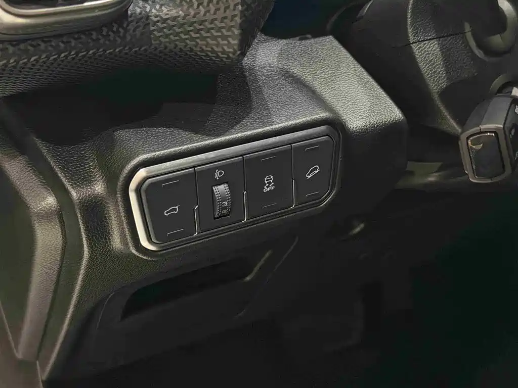 Haval Big Dog 2021 1.5T DCT 2WD Border Collie Edition