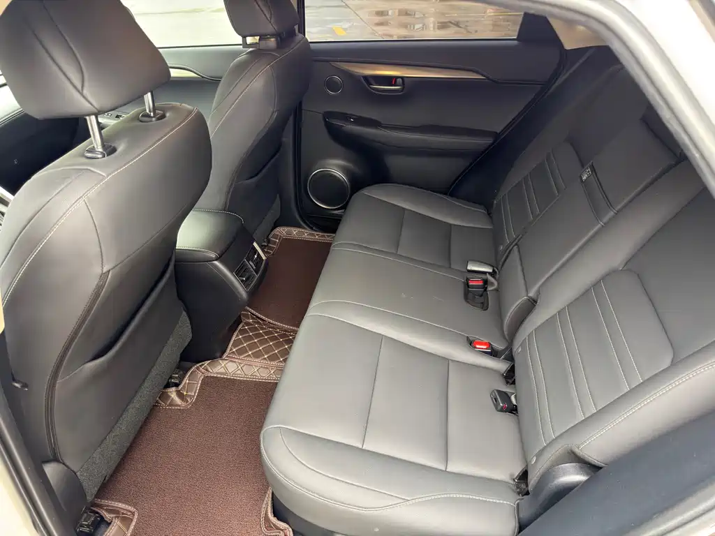 Lexus NX 2020 200 FWD Fengyi Edition China VI