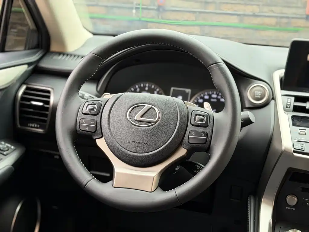Lexus NX 2020 200 FWD Fengyi Edition China VI