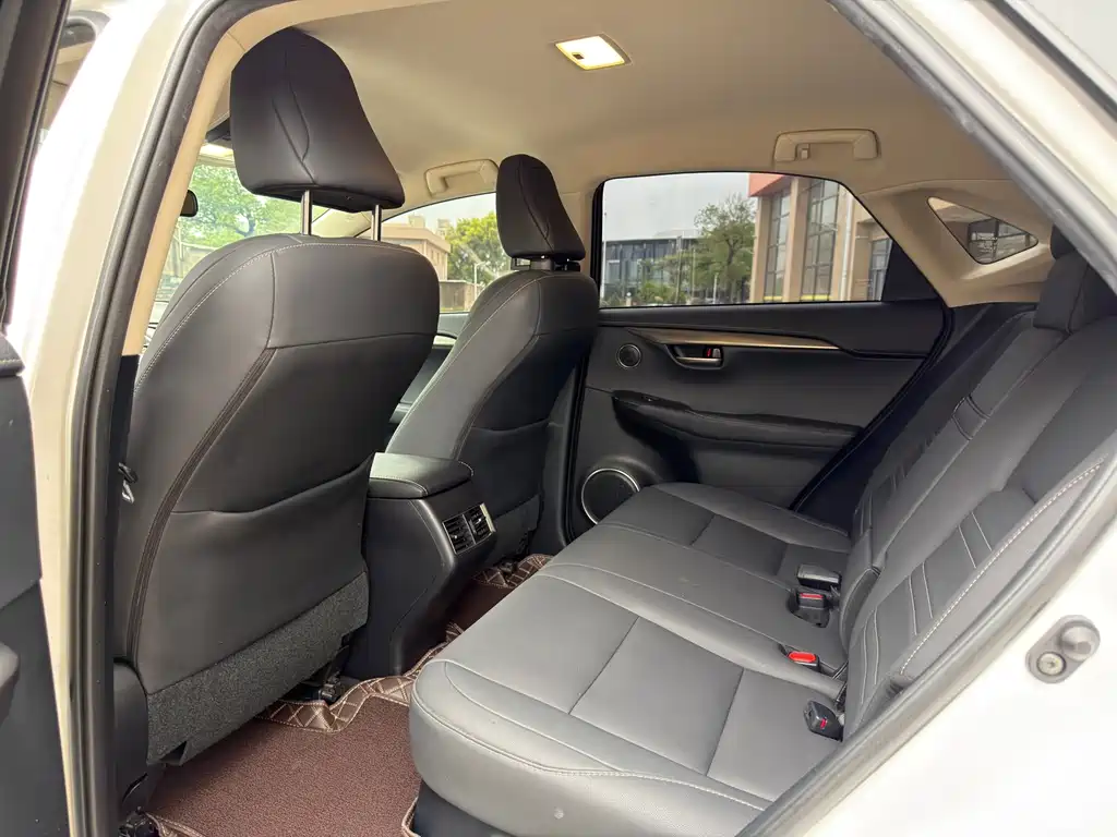 Lexus NX 2020 200 FWD Fengyi Edition China VI