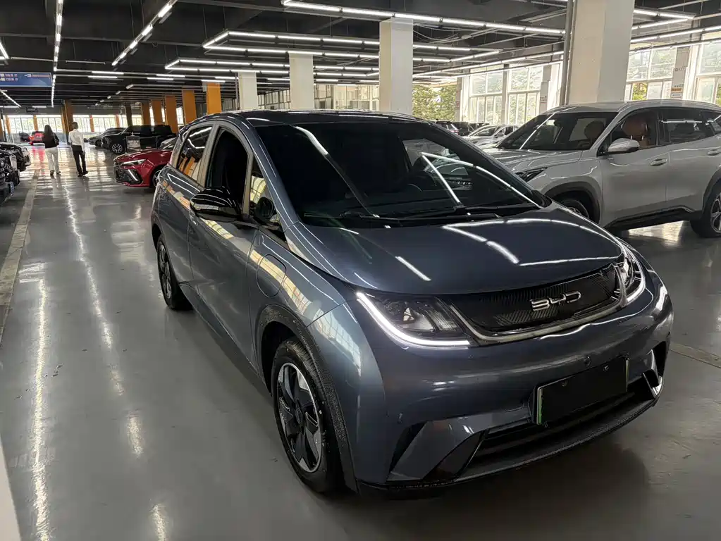 BYD Dolphin 2025 420km Free Edition