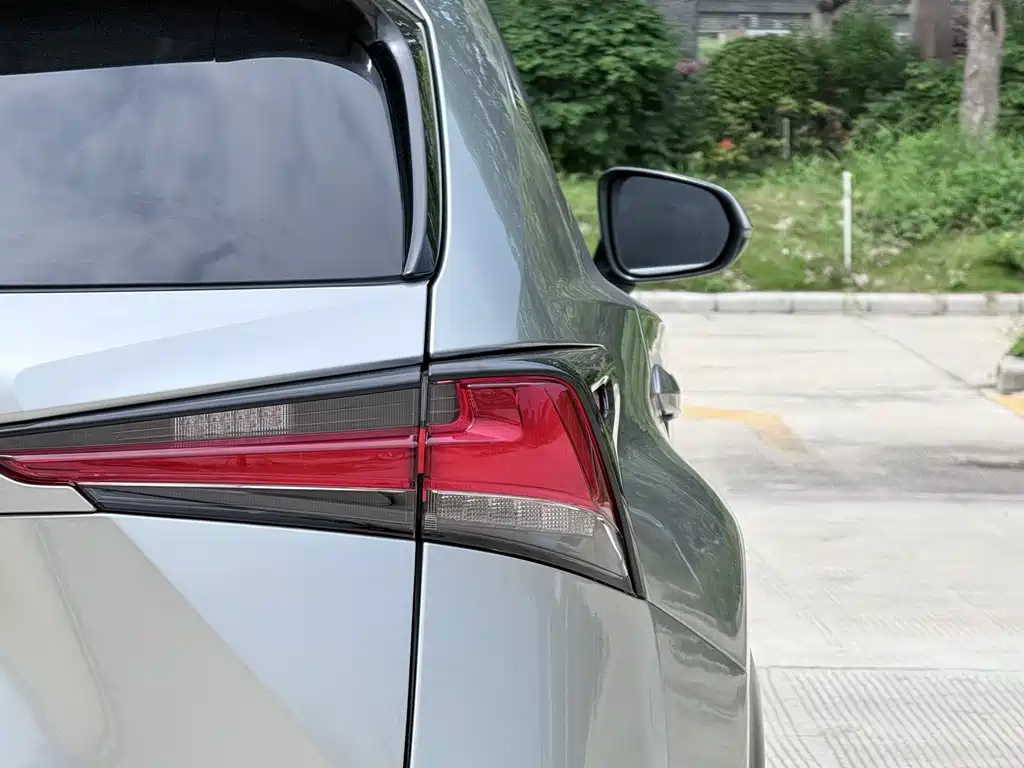 Lexus NX 2018 200 FWD Fengxing Edition China V