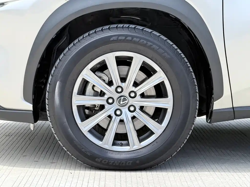 Lexus NX 2018 200 FWD Fengxing Edition China V
