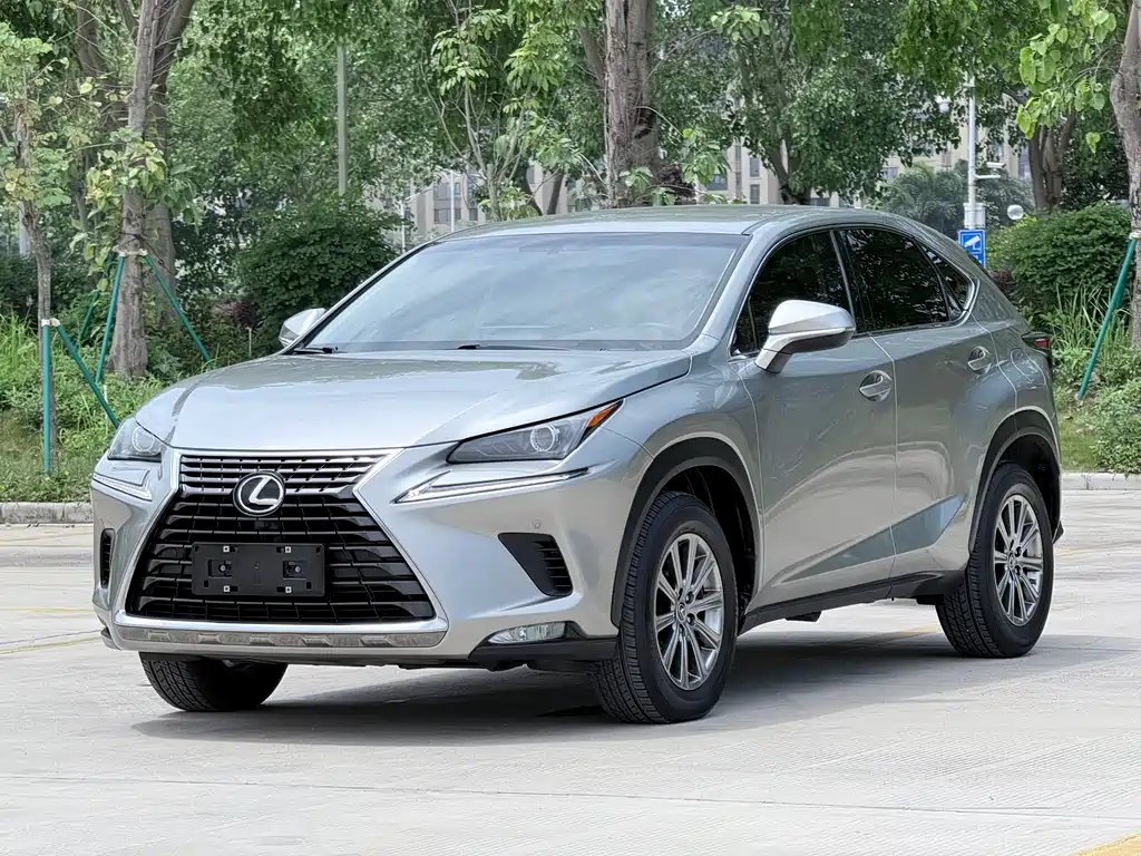 Lexus NX 2018 200 FWD Fengxing Edition China V