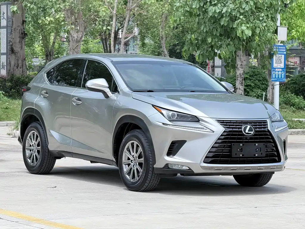 Lexus NX 2018 200 FWD Fengxing Edition China V
