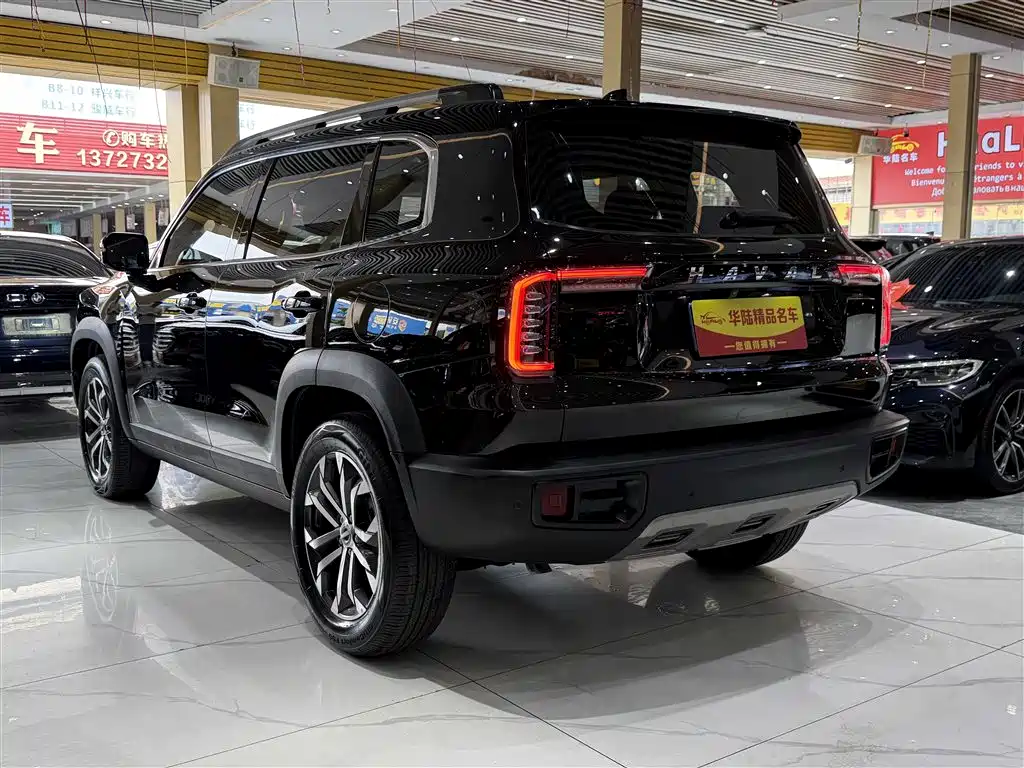 Haval Big Dog 2021 1.5T DCT 2WD Border Collie Edition
