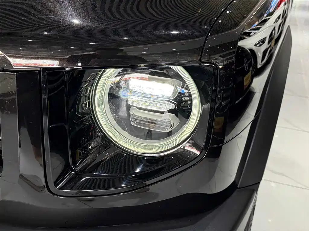 Haval Big Dog 2021 1.5T DCT 2WD Border Collie Edition
