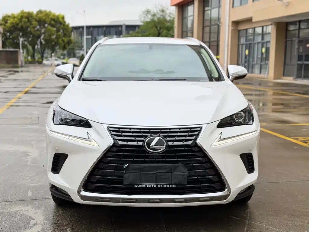 Lexus NX 2020 200 FWD Fengyi Edition China VI