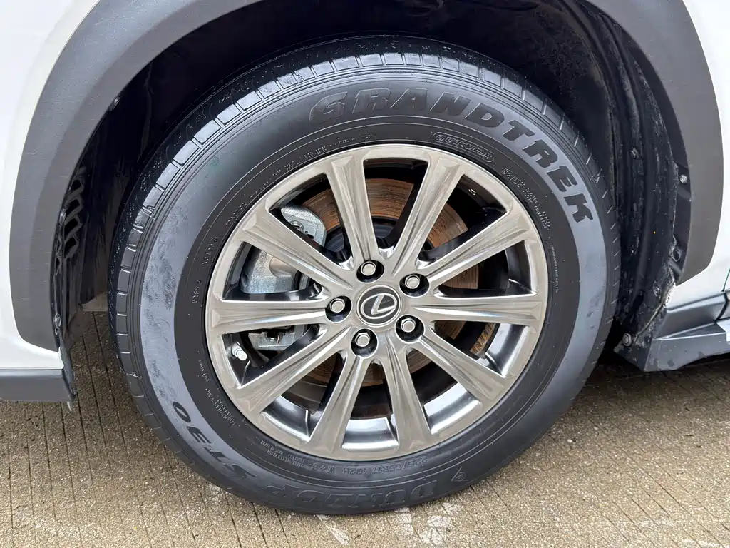 Lexus NX 2020 200 FWD Fengyi Edition China VI